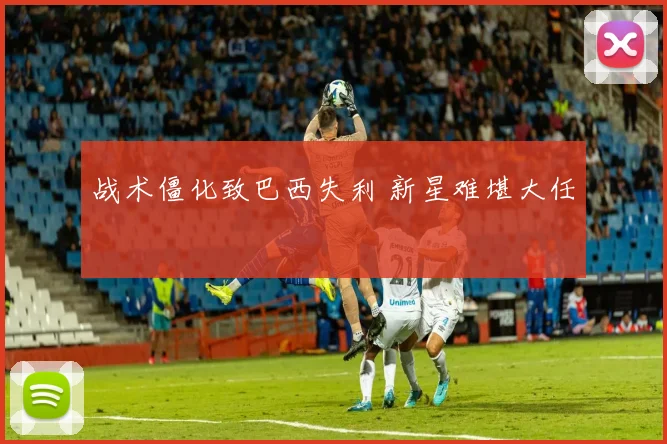 战术僵化致巴西失利 新星难堪大任