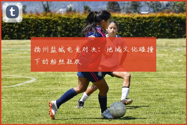 扬州盐城电竞对决：地域文化碰撞下的粉丝狂欢