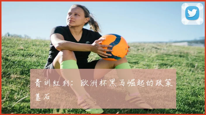 青训红利：欧洲杯黑马崛起的政策基石