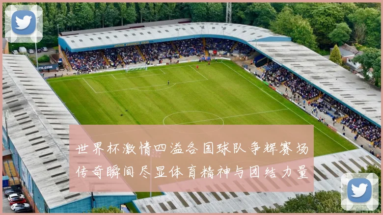 世界杯激情四溢各国球队争辉赛场传奇瞬间尽显体育精神与团结力量