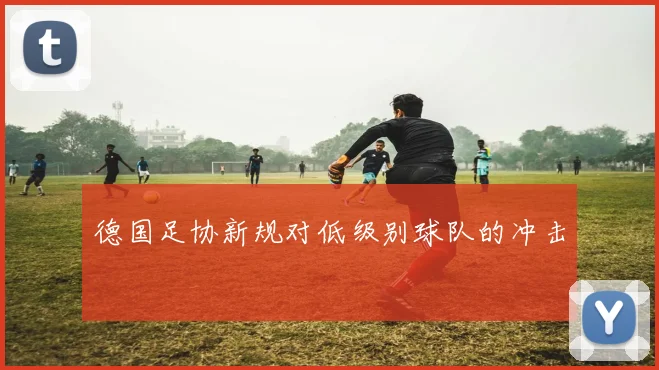 德国足协新规对低级别球队的冲击