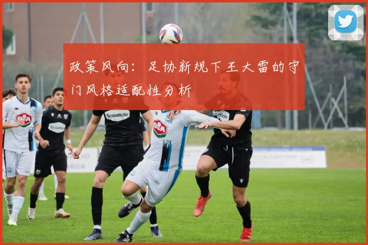 政策风向：足协新规下王大雷的守门风格适配性分析